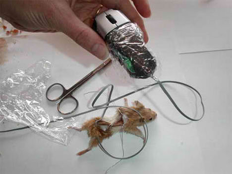 real_optical_logitech_mouse01.jpg