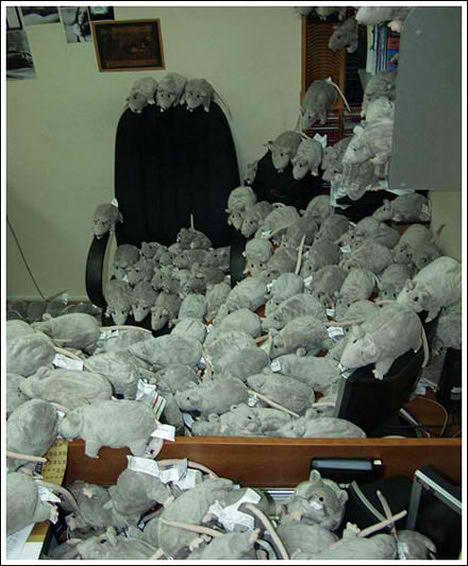 Office Pranks