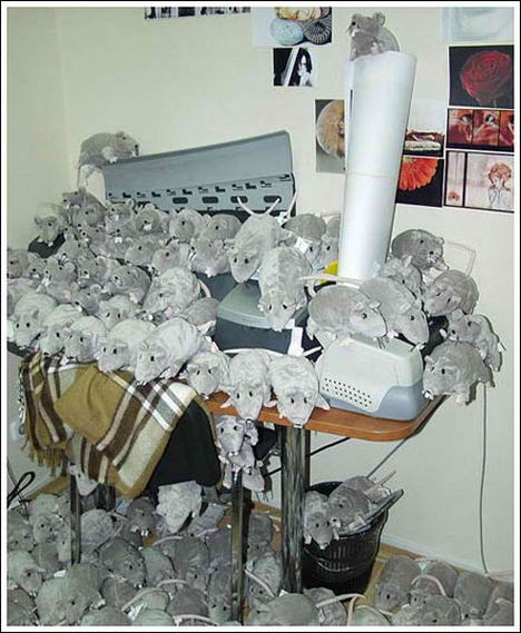 Office Pranks
