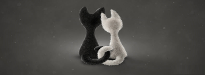 Facebook Cover Art