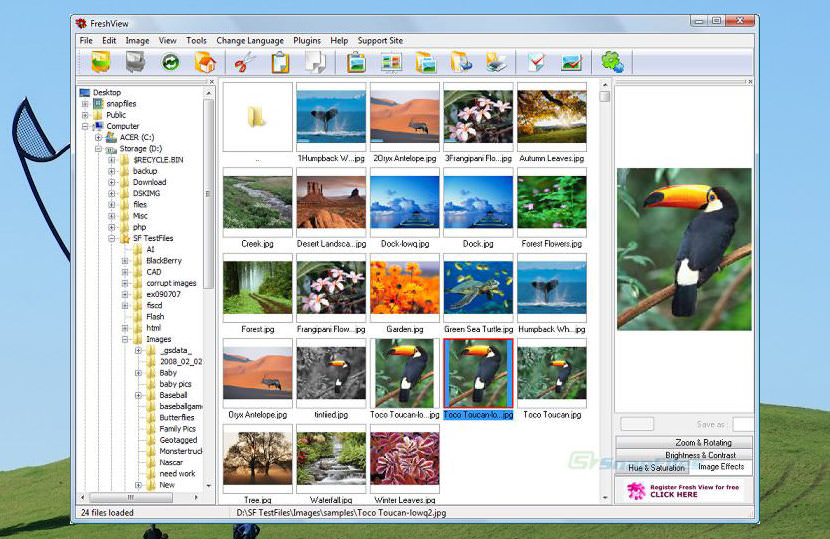 Alternate Pic View 3.260 for windows download