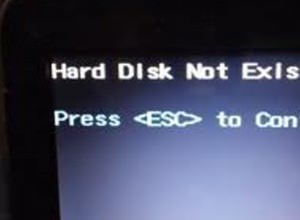 Setup Did Not Find Any Hard Disk Drives' Error During Microsoft Windows Installation