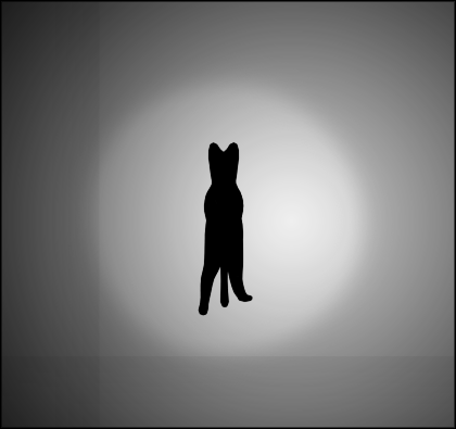 optical illusion spinning cat