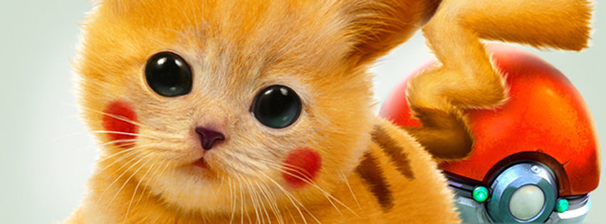Real Pikachu Pokemon Cat Facebook Cover