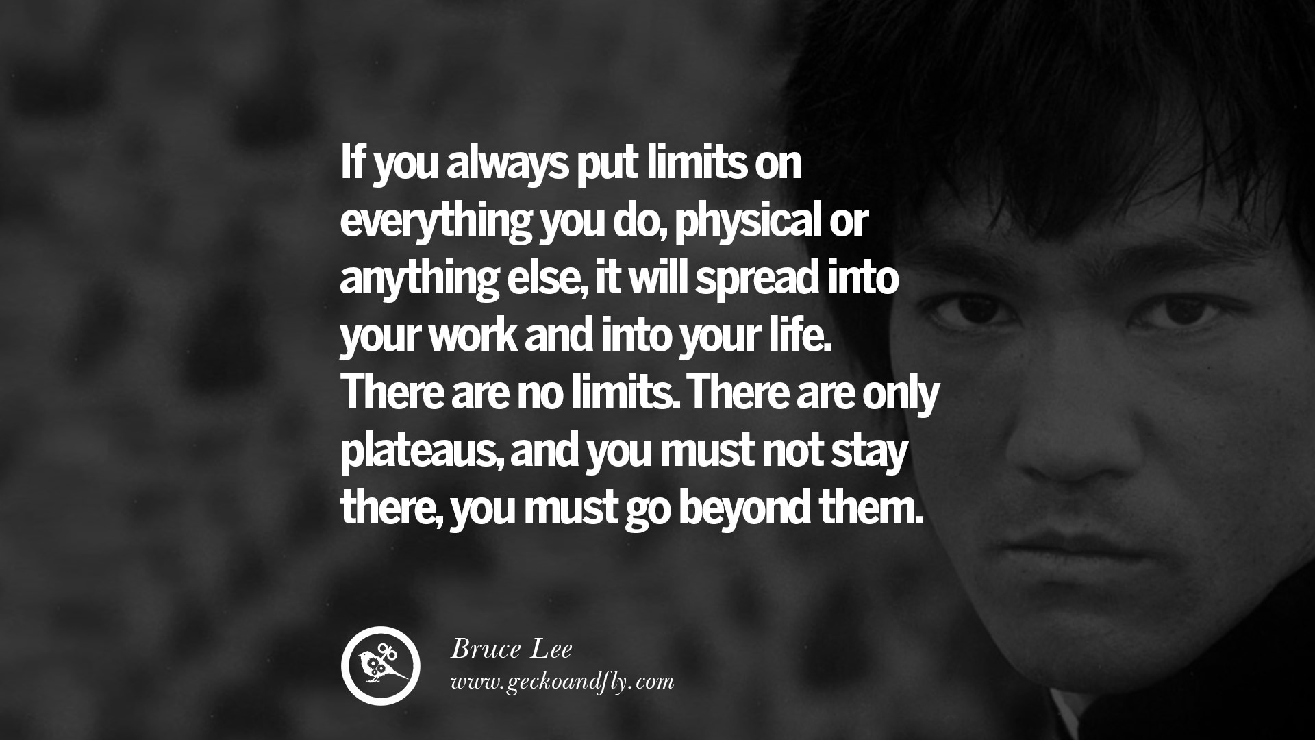 there are no limits bruce lee