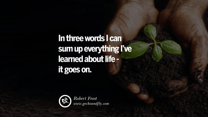 In three words I can sum up everything I've learned about life: it goes on. - Robert Frost