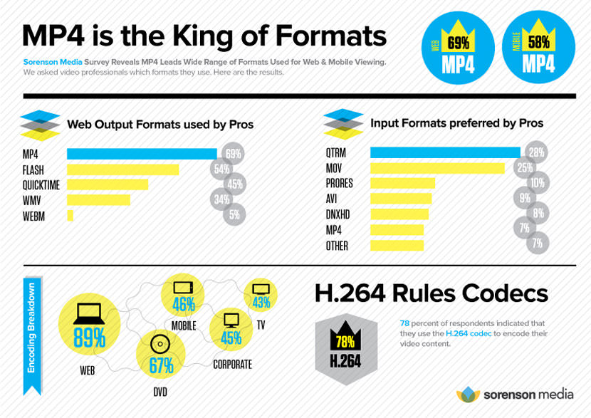 survey infographic final Software to Fix and Repair Corrupt MP4 AVI Video Files