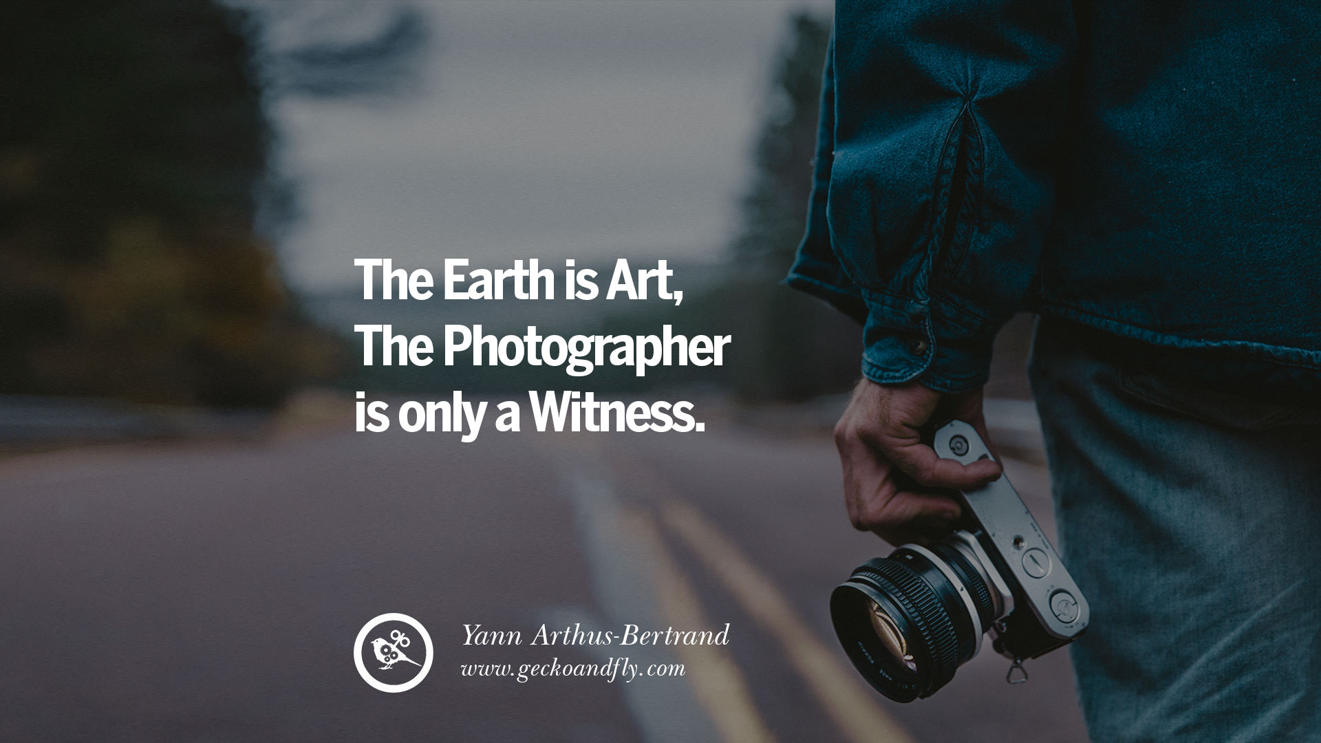 Quotes about Photography by Famous Photographer The Earth is Art, The 