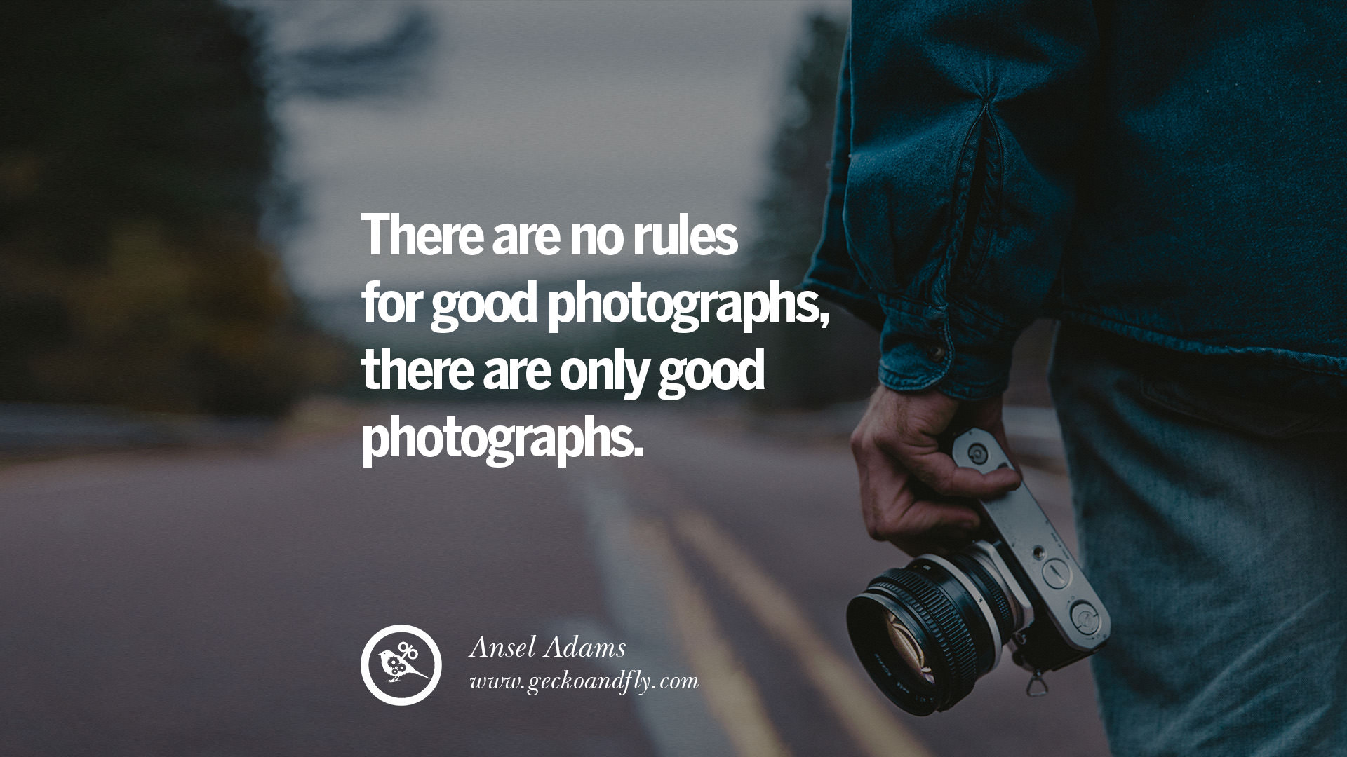 photography quotes19