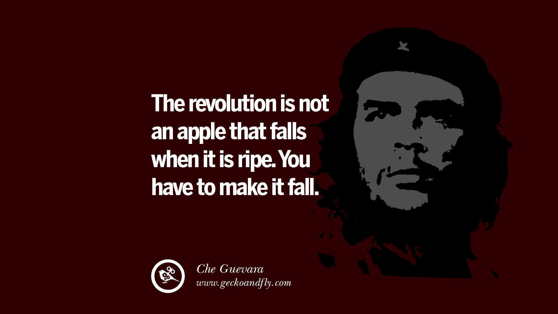 che guevara quotes revolution