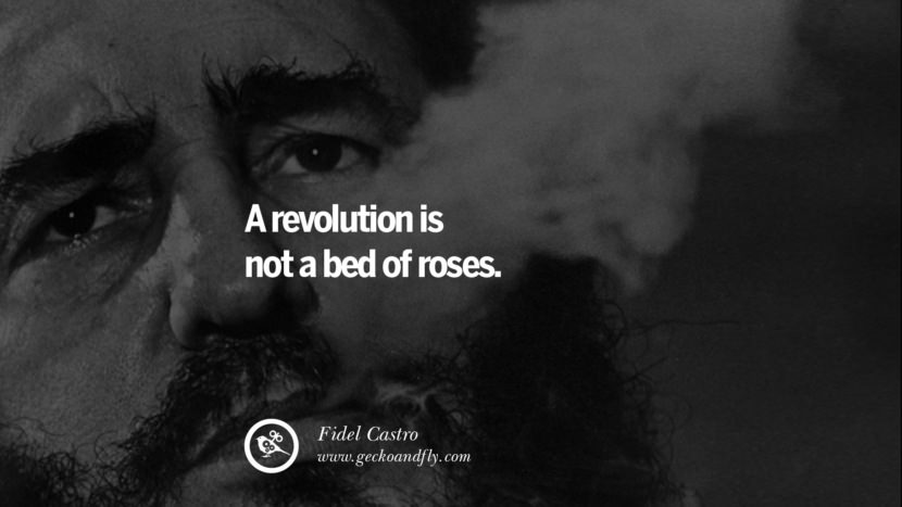 A revolution is not a bed of roses. - Fidel Castro