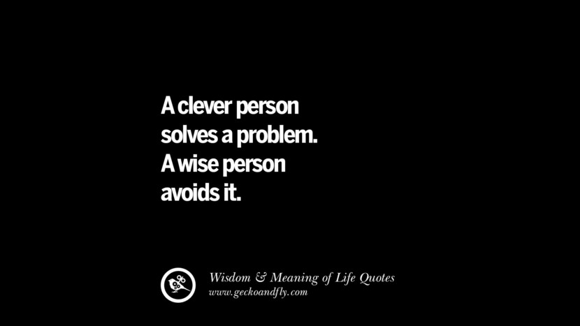 A clever person solves a problem. A wise person avoids it.