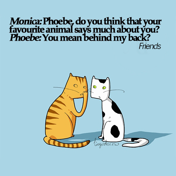 Monica: Phoebe, do you think that your favorite animal says much about you? Phoebe: You mean behind my back? 40 Funny Doodles For Cat Lovers and Your Cat Crazy Lady Friend grumpy tom talking nyan instagram pinterest facebook twitter comic pictures youtube