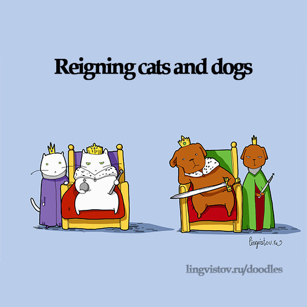 Funny Doodles For Cat Lovers