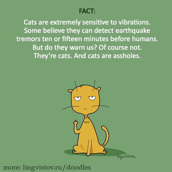 Cats are extremely sensitive to vibrations. Some believe they can detect earthquake tremors ten or fifteen minutes before humans. But do they warn us? Of course not. They're cats. And cats are assholes. 40 Funny Doodles For Cat Lovers and Your Cat Crazy Lady Friend grumpy tom talking nyan instagram pinterest facebook twitter comic pictures youtube