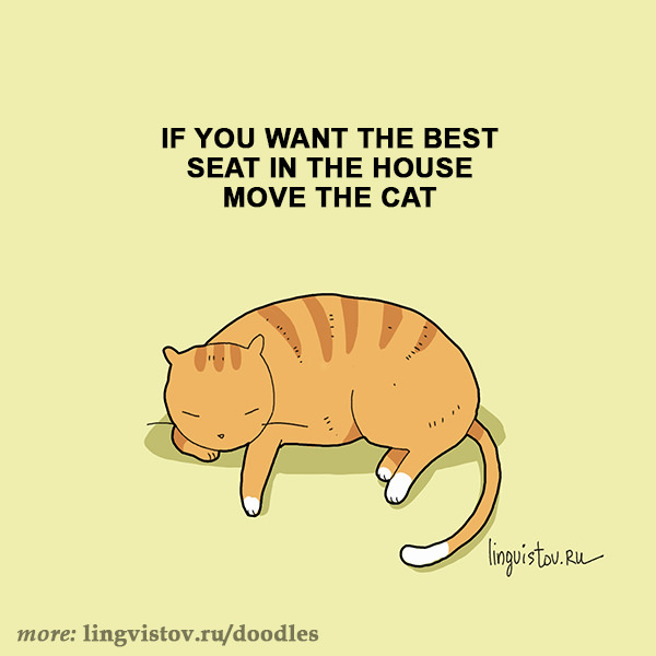 If you want the best seat in the house move the cat. 40 Funny Doodles For Cat Lovers and Your Cat Crazy Lady Friend grumpy tom talking nyan instagram pinterest facebook twitter comic pictures youtube