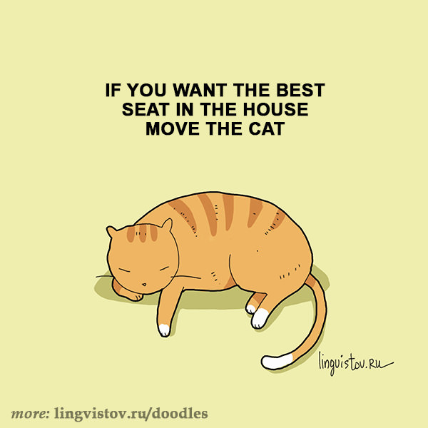 Funny Doodles For Cat Lovers