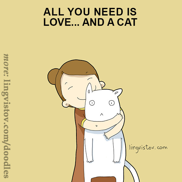 40 Funny Doodles For Cat Lovers and Your Cat Crazy Lady Friend