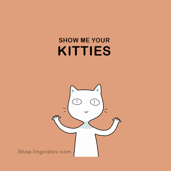 Show me your kitties. 40 Funny Doodles For Cat Lovers and Your Cat Crazy Lady Friend grumpy tom talking nyan instagram pinterest facebook twitter comic pictures youtube