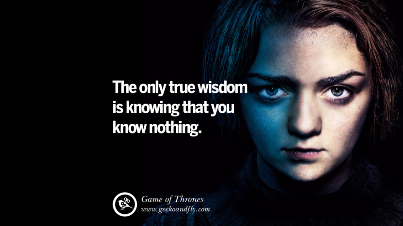 The only true wisdom is knowing that you know nothing. Quote by George RR Martin from the book Game of Thrones