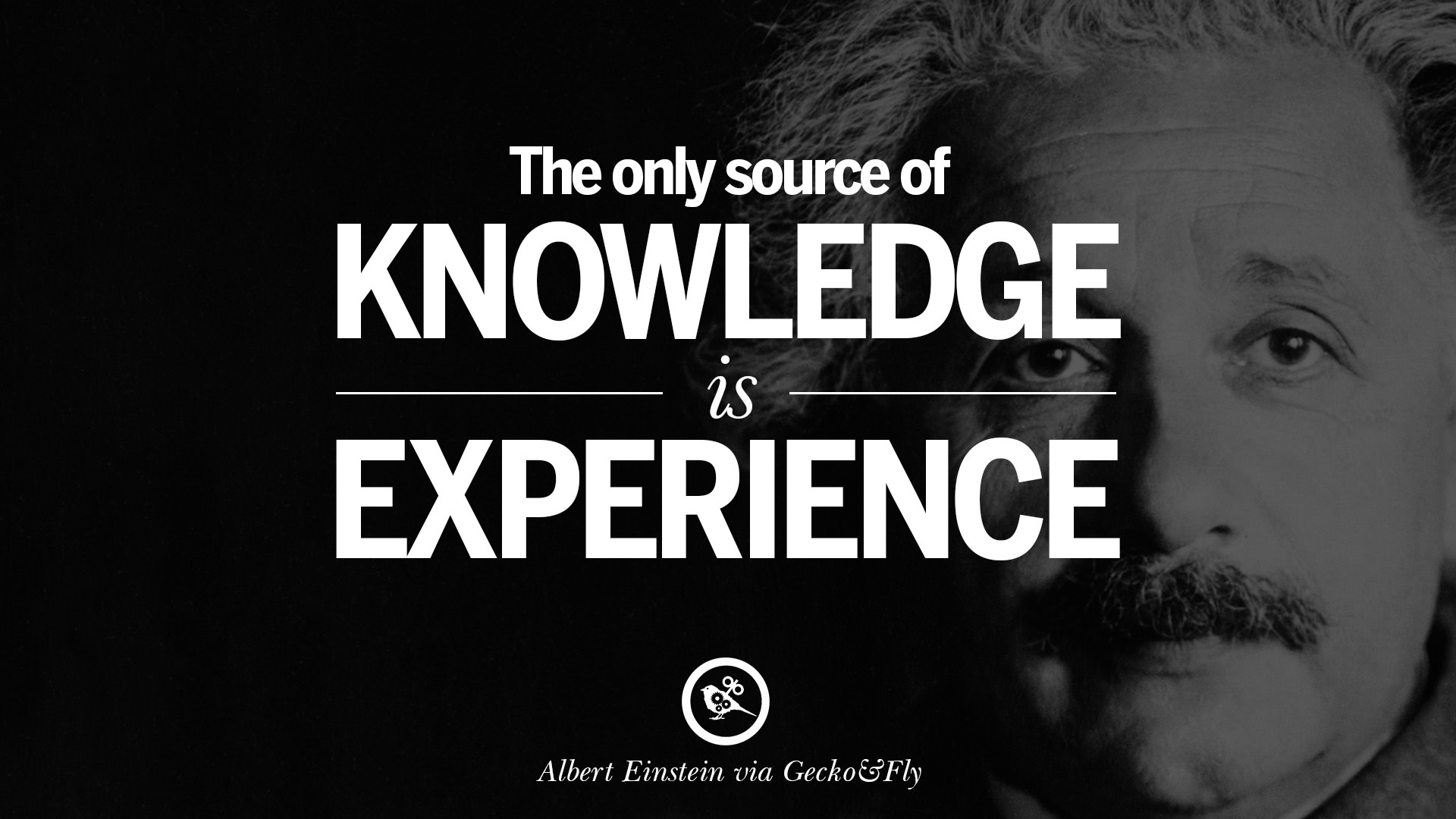 Image result for albert einstein experience quotes