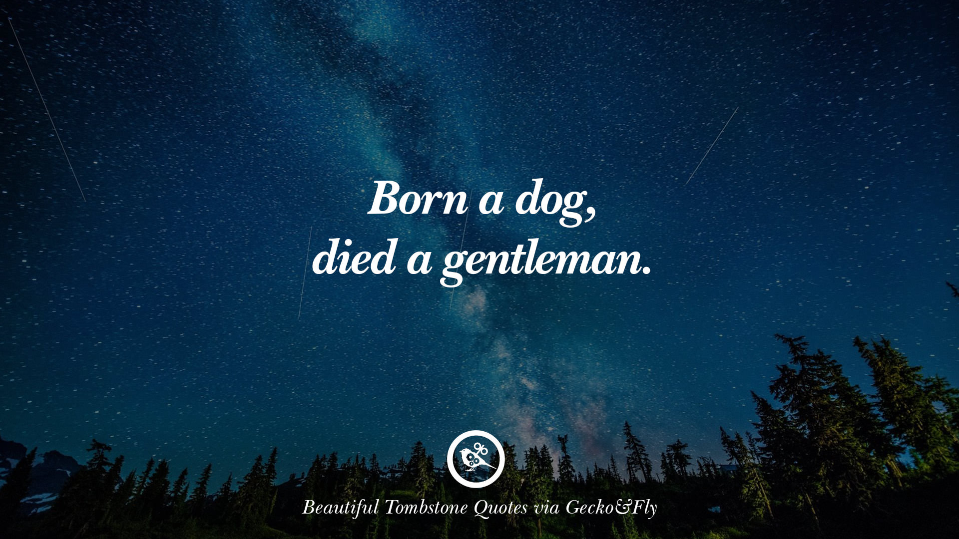 12 Beautiful Tombstone Quotes For Your Beloved Cat or Dog