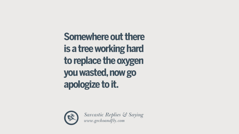 Somewhere out there is a tree working hard to replace the oxygen you wasted, now go apologize to it.
