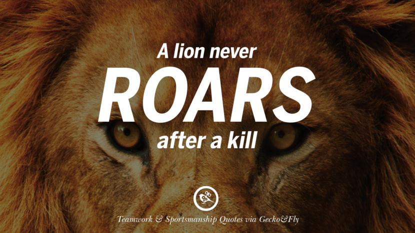 A lion never roars after a kill.
