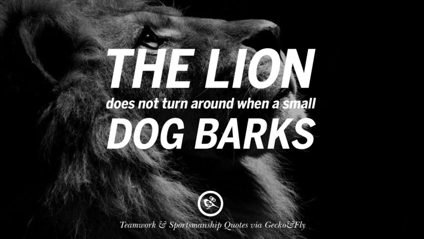 The lion does not turn around when a small dog barks.