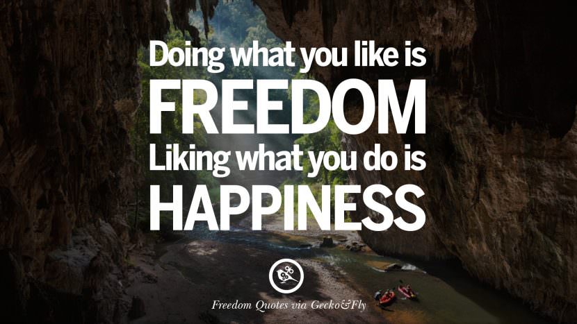 Doing what you like is freedom. Liking what you do is happiness.