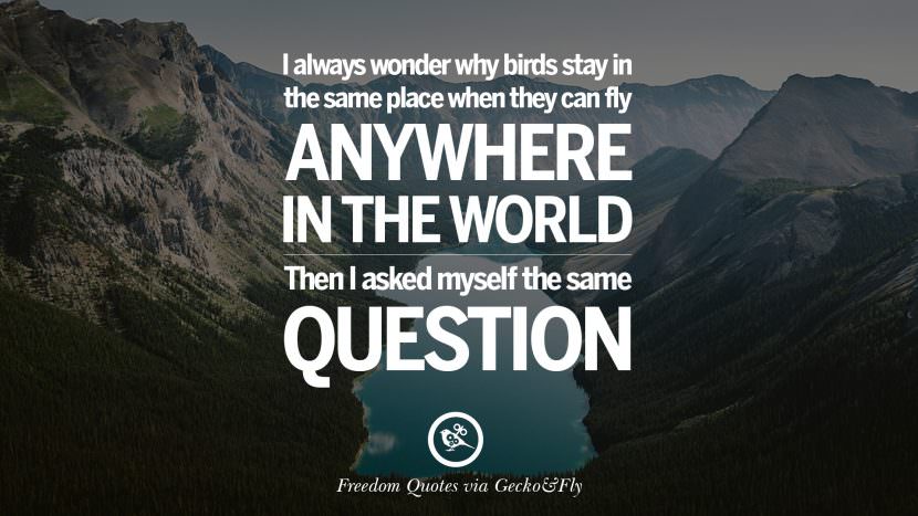 I always wonder why birds stay in the same place when they can fly anywhere in the world. Then I asked myself the same question.