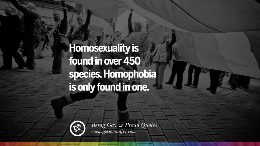 L'omosessualità si trova in oltre 450 specie. L'omofobia si trova solo in una. Quotes About Gay Pride, Pro LGBT, Homophobia and Marriage Discrimination Instagram Pinterest Facebook