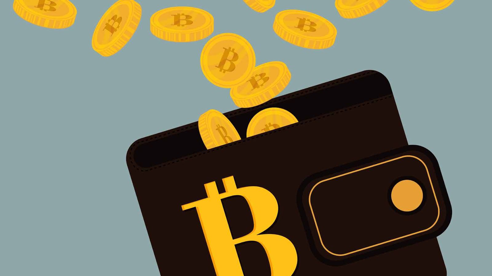 No fee bitcoin wallet paper trading crypto