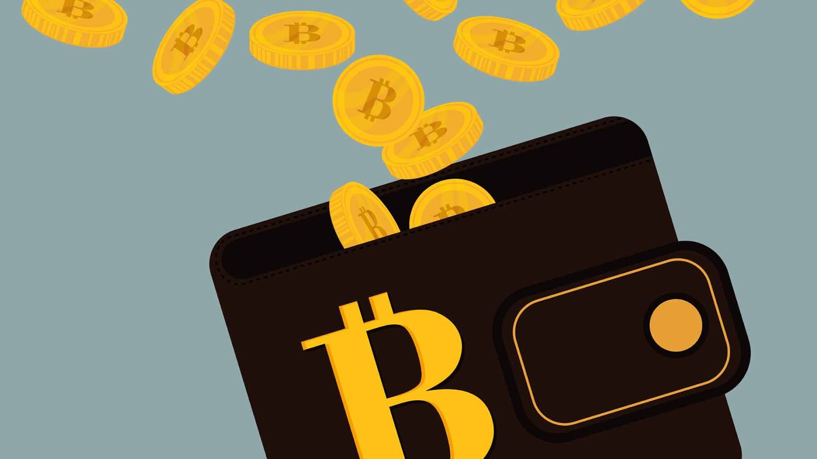 11 Best Bitcoin Wallets With Low Transaction Fees