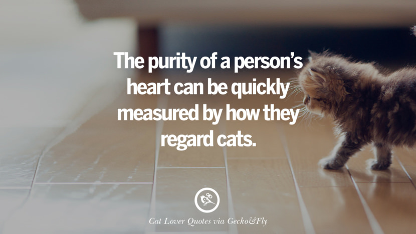 The purity of a person's heart can be quickly measured by how they regard cats. Cute Cat Images With Quotes For Crazy Cat Ladies, Gentlemen And Lovers