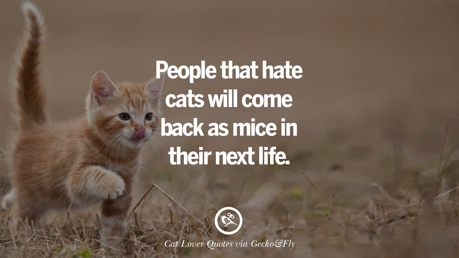 People that hate cats will e back as mice in their next life