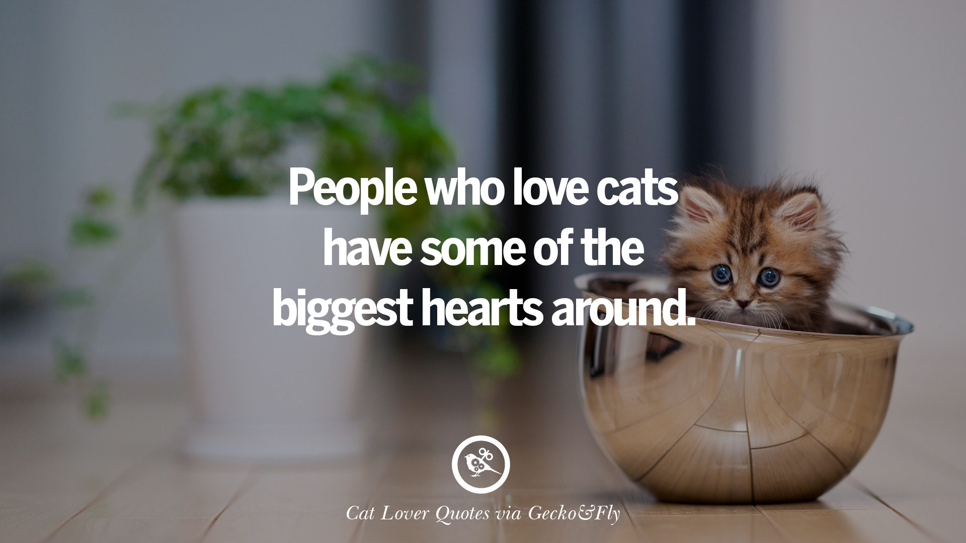 People who love cats have some of the biggest hearts around