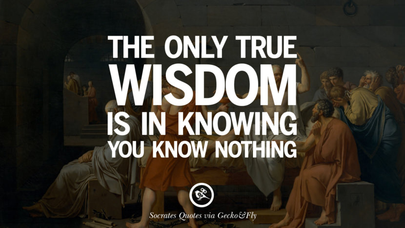 The only true wisdom is in knowing you know nothing. Quotes by Socrates