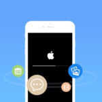 Apple iOS Data Recovery For iPhone And iPad