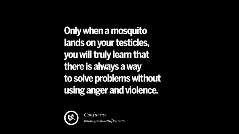 Only when a mosquito lands on your testicles, will you truly learn that there is always a way to solve problems without using anger and violence. - Confucius