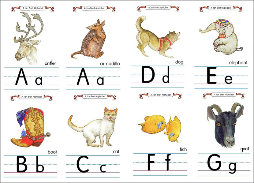 Jan Brett Flashcard Alphabet