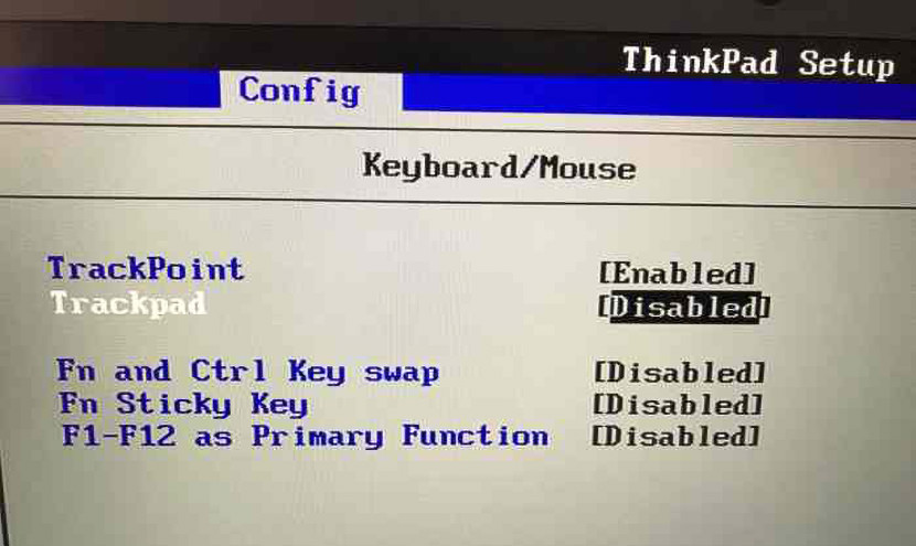 Disable Touchpad In BIOS