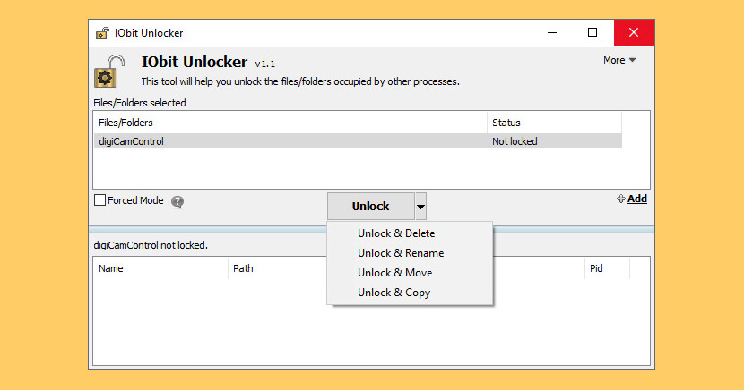 IObit Unlocker