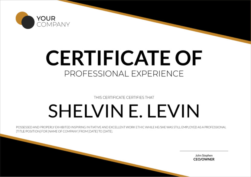 Screenshot of blank professional experience certificate template