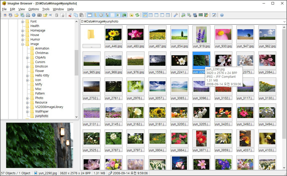 Best Free Photo Organizer For Windows 10