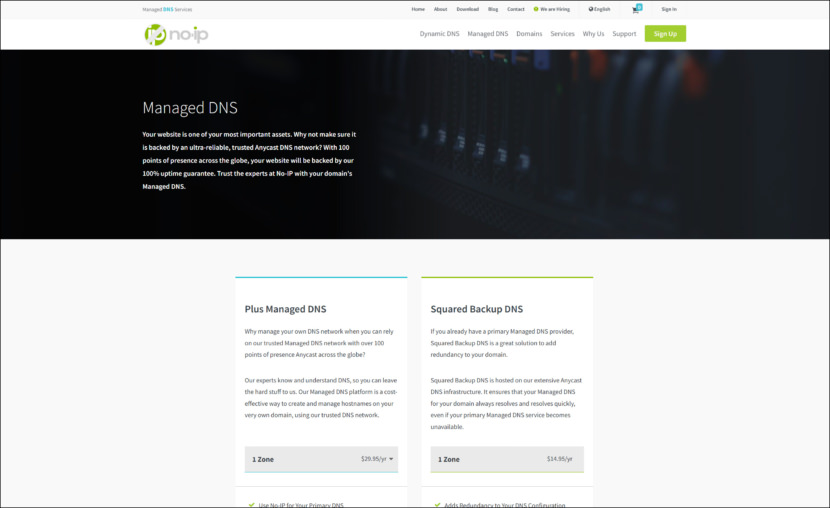 No-IP Managed DNS