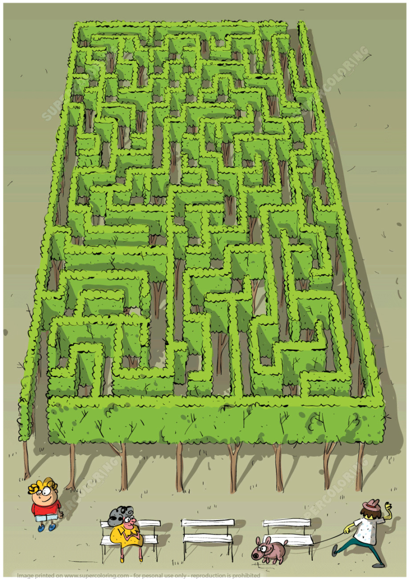 creative hedge maze puzzle for kids