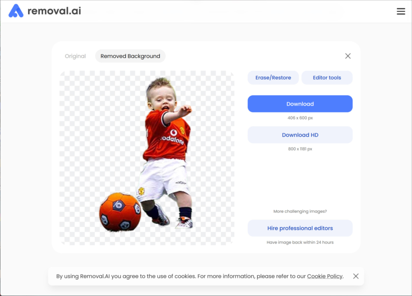 AI Background Remover